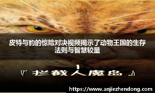 皮特与豹的惊险对决视频揭示了动物王国的生存法则与智慧较量
